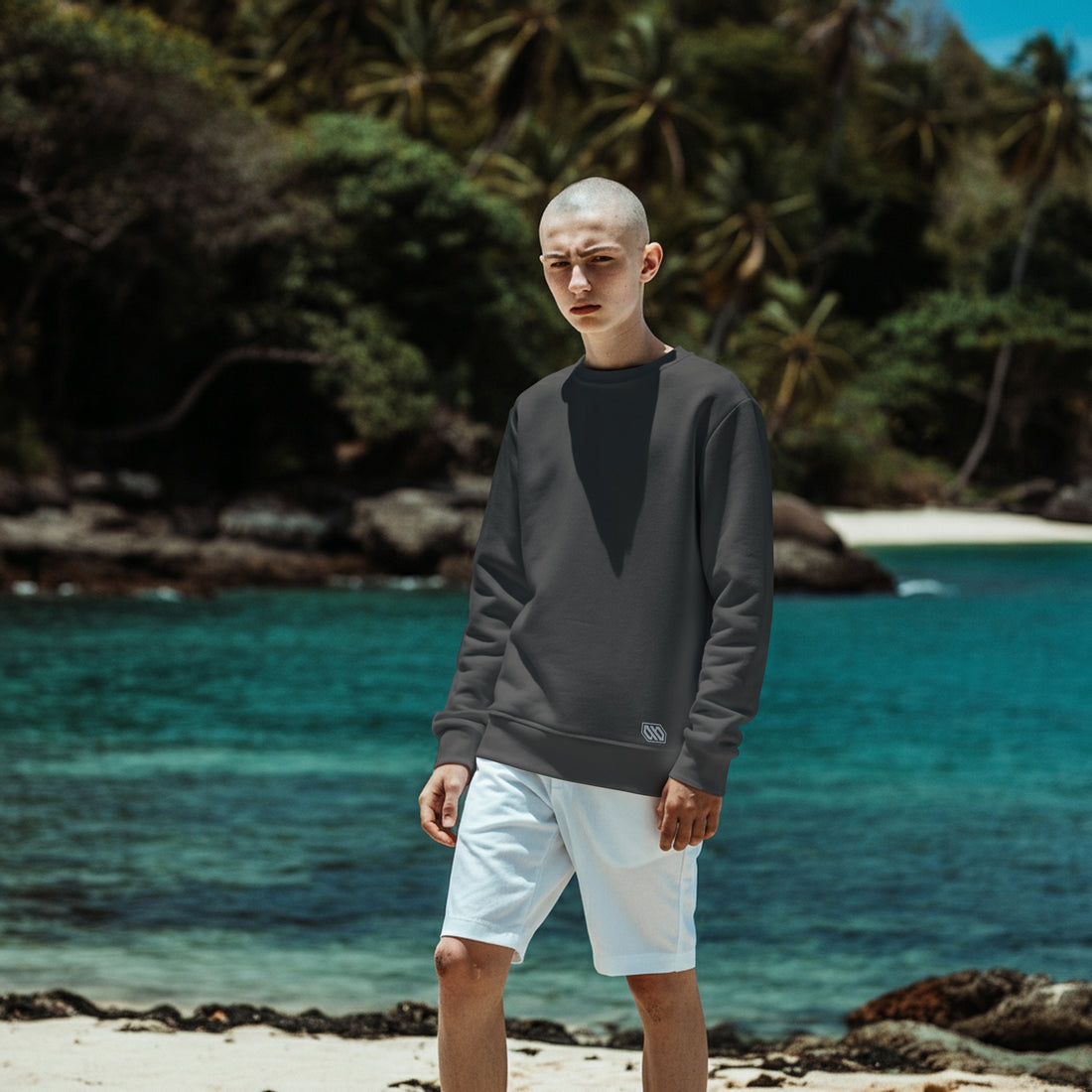 Basic Crew Asphalt Grey