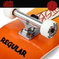 Skate per iniziare Push Regular 8.0