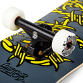Skate per iniziare Barbed Wire Grey 7.87
