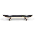 Skate per iniziare Barbed Wire Grey 7.87