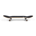 Skate per iniziare Barbed Wire Purple 8.25